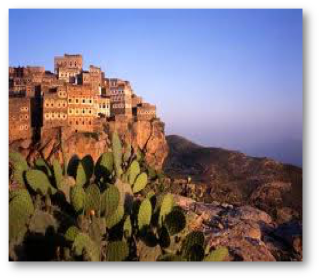 Yemen houses and cacti landscape